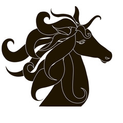 Black unicorn head silhouette with lush mane on white stock vector illustration