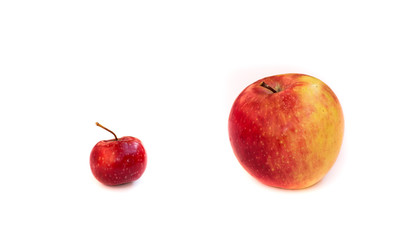 Comparison of a small red paradise apple and a large orange. Partners, competitors, the boss and the loyal. The inscription between apples, the sign