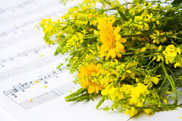 Yellow wildflowers arrangement on note sheet