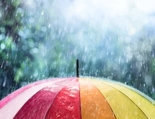 Foto op Canvas Regen op regenboogparaplu © Romolo Tavani