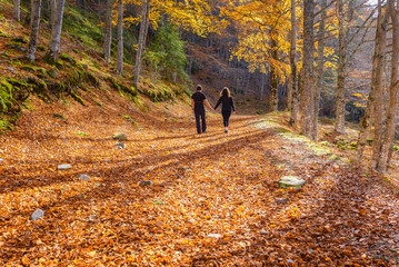 Couple walk through a beech forest, Sierra Cebollera Natural Park, La Rioja, Spain