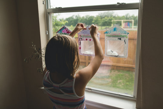 Girl hanging homeschool project