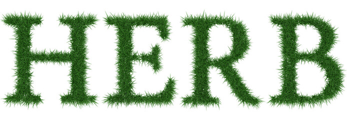 Herb - 3D rendering fresh Grass letters isolated on whhite background.