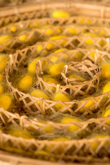 Close-up detail of yellow silkworm cocoons (Bombyx mori) in a woven bamboo tray, ready for harvesting. Nakhon Ratchasima, Thailand. Textiles and silk industry concept.