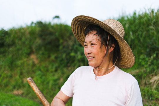 farmer working in the field