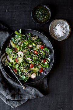 Salad with radish, tomatoes and coriander vinaigrette