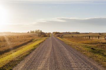 Gravel road through farm fields