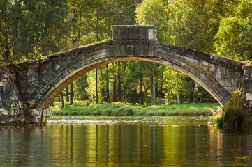Fototapeta premium Autumn landscape with old stone hump-back bridge in Gatchina. Russia