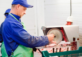 A male employee in uniforms cuts meat on a saw.