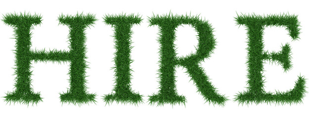 Fototapeta na wymiar Hire - 3D rendering fresh Grass letters isolated on whhite background.