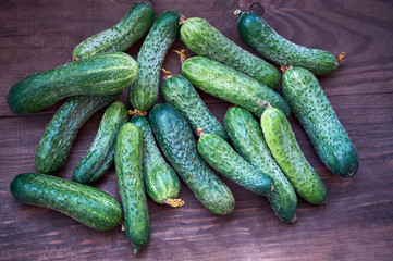 cucumbers on the wooden background