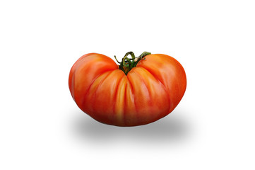 German Heirloom Tomato