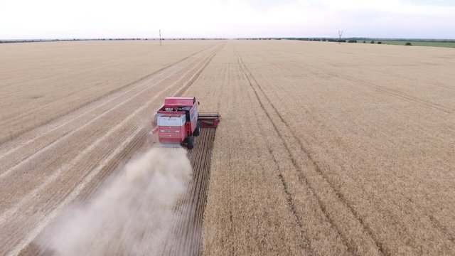 An impressive bird`s eye view  of a combine harvester moving on a golden field and collecting ripe wheat and a cloud of dust behind it The crop field is boundless and picturesque