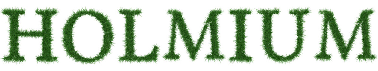 Holmium - 3D rendering fresh Grass letters isolated on whhite background.
