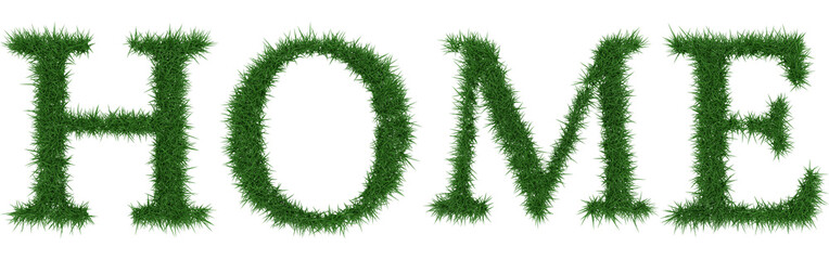 Home - 3D rendering fresh Grass letters isolated on whhite background.