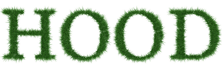 Hood - 3D rendering fresh Grass letters isolated on whhite background.