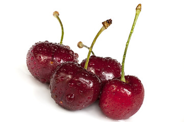 Cherries
