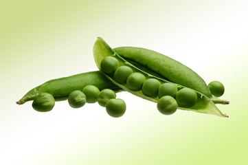 Peas in a pod