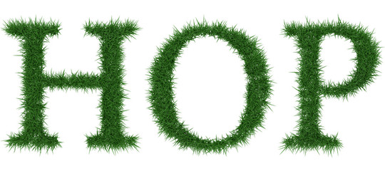 Hop - 3D rendering fresh Grass letters isolated on whhite background.