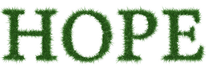 Hope - 3D rendering fresh Grass letters isolated on whhite background.