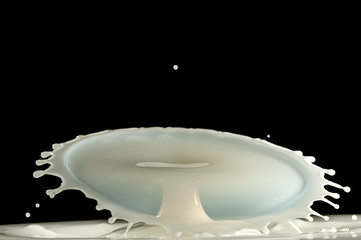 Milk drop collision