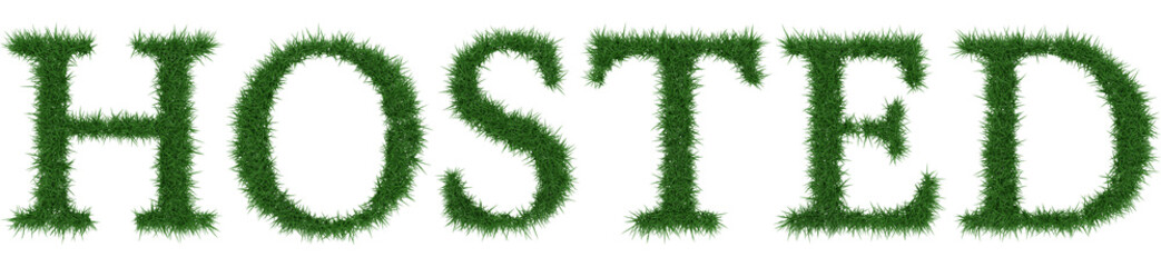 Hosted - 3D rendering fresh Grass letters isolated on whhite background.