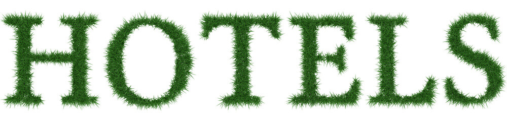 Hotels - 3D rendering fresh Grass letters isolated on whhite background.