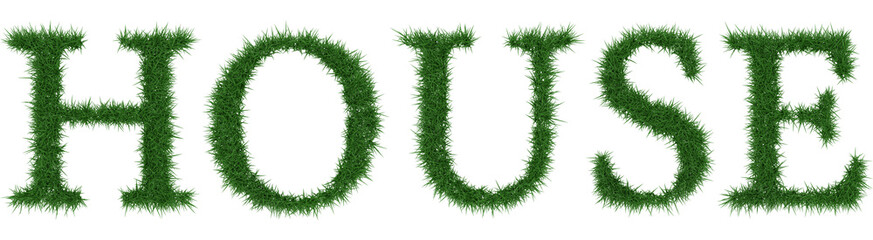 House - 3D rendering fresh Grass letters isolated on whhite background.