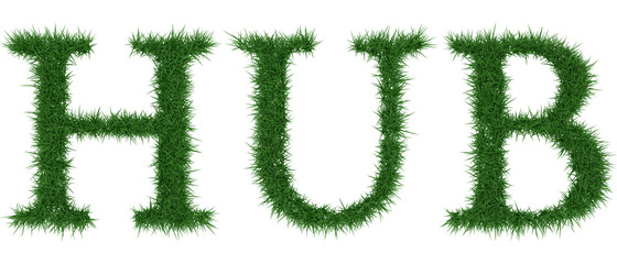 Hub - 3D rendering fresh Grass letters isolated on whhite background.