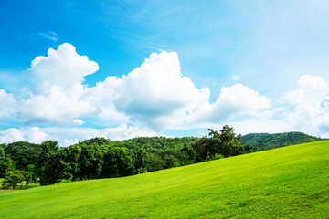 Green lawn on small hill with blue sky and white cloud in the background on sunny day