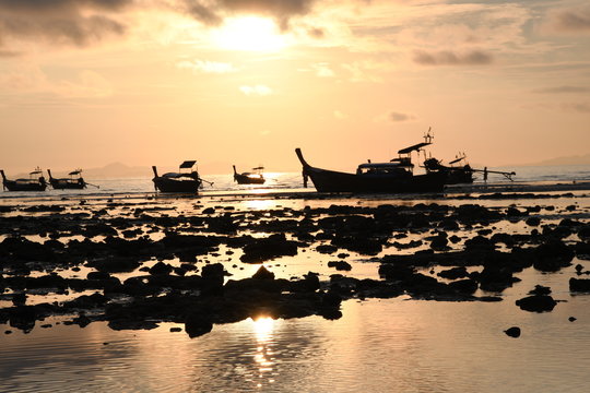 Long Tail Boat In Sunrise In Phi Phi Island