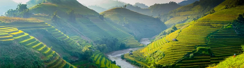 Reisfelder auf Terrassen im Nordwesten Vietnams. © cristaltran