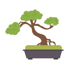 bonsai tree japan related icon image vector illustration design 