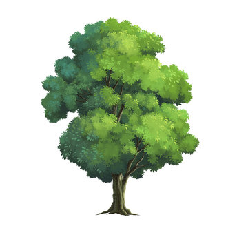 Fototapeta illustration of a tree