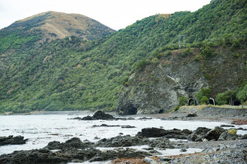 Hikurangi Marine Reserve South Island New Zealand