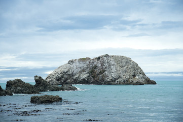 Fototapeta na wymiar Hikurangi Marine Reserve South Island New Zealand