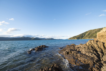 Fototapeta na wymiar Karaka Point Reserve South Island New Zealand