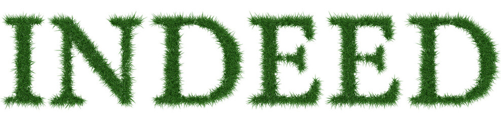 Indeed - 3D rendering fresh Grass letters isolated on whhite background.