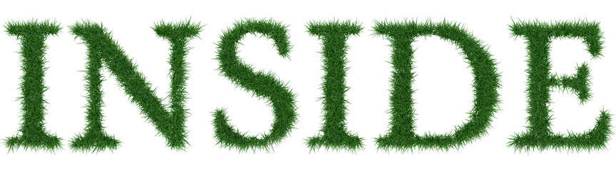 Inside - 3D rendering fresh Grass letters isolated on whhite background.