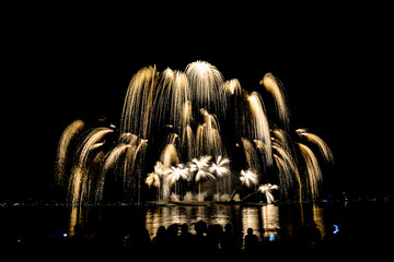 fireworks