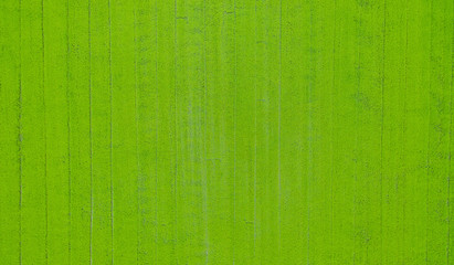 Fototapeta premium Aerial view from flying drone of Field rice with landscape green pattern nature background