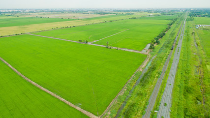Aerial  view from flying drone of  Field rice  with landscape green pattern nature background