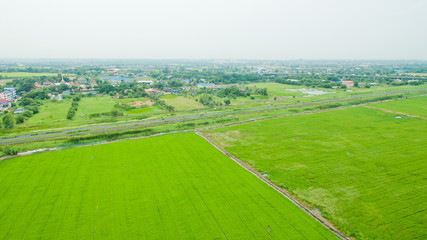 Obraz premium Aerial view from flying drone of Field rice with landscape green pattern nature background