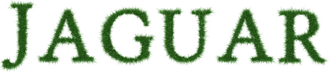 Jaguar - 3D rendering fresh Grass letters isolated on whhite background.