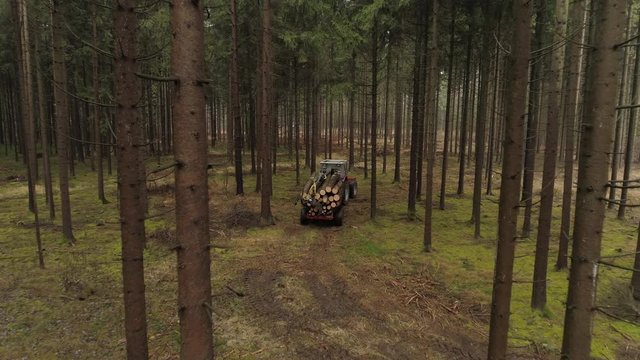 AERIAL CLOSE UP Timberjack harvester with heavy loaded trailer transporting felled and stacked logs to the sawmill to be cut. Transportation of collected tree trunks from the forest to the lumber mill