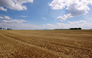 Skoszone polskie pole po żniwach pszenicy późnym latem; piękny krajobraz równiny, z górą Ślężą w tle - obrazy, fototapety, plakaty