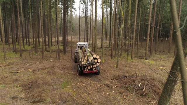 AERIAL, CLOSE UP: Timberjack harvester with loaded trailer transporting felled and stacked logs to the sawmill to be cut. Transportation of collected tree trunks from the timberland to the lumber mill