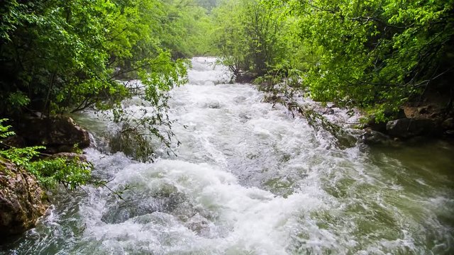 A dangerous stormy river in the forest