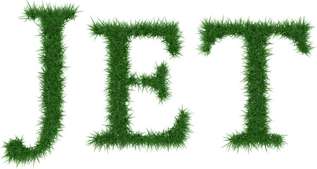 Jet - 3D rendering fresh Grass letters isolated on whhite background.