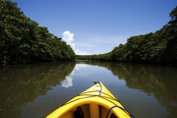 西表島カヌー